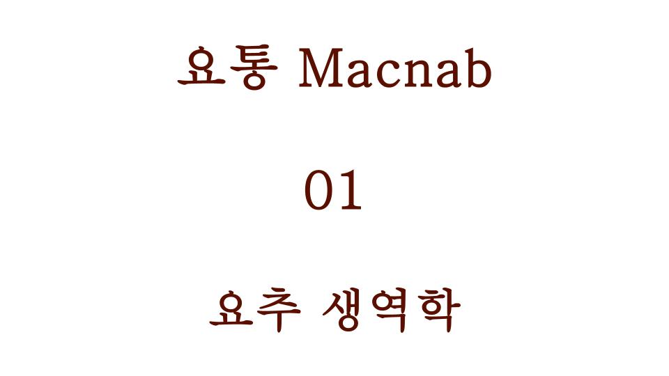 요추 생역학