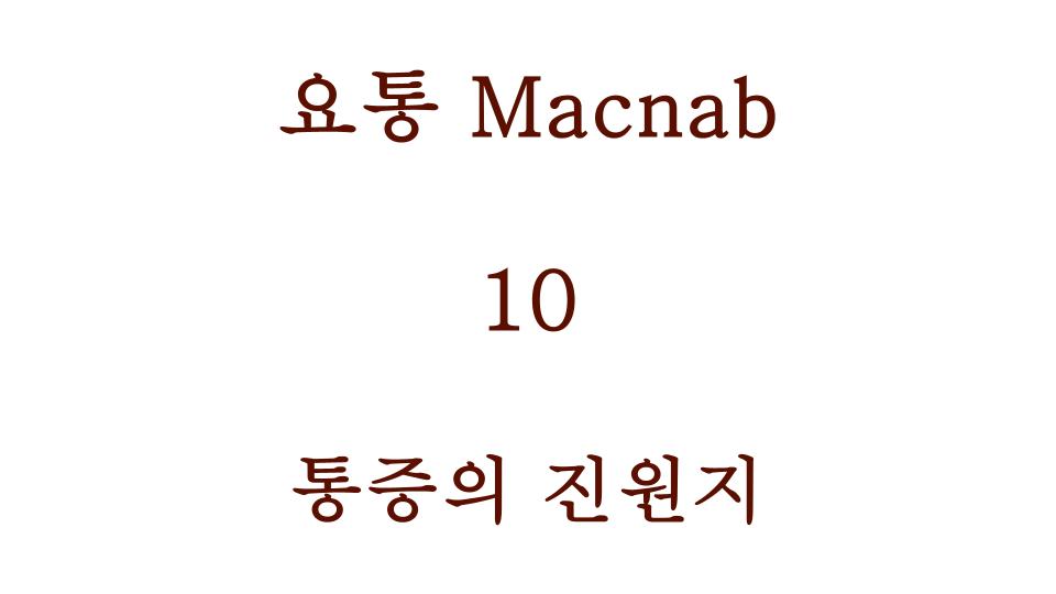 통증의 진원지