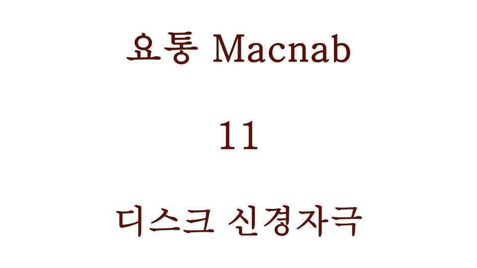 디스크 신경자극